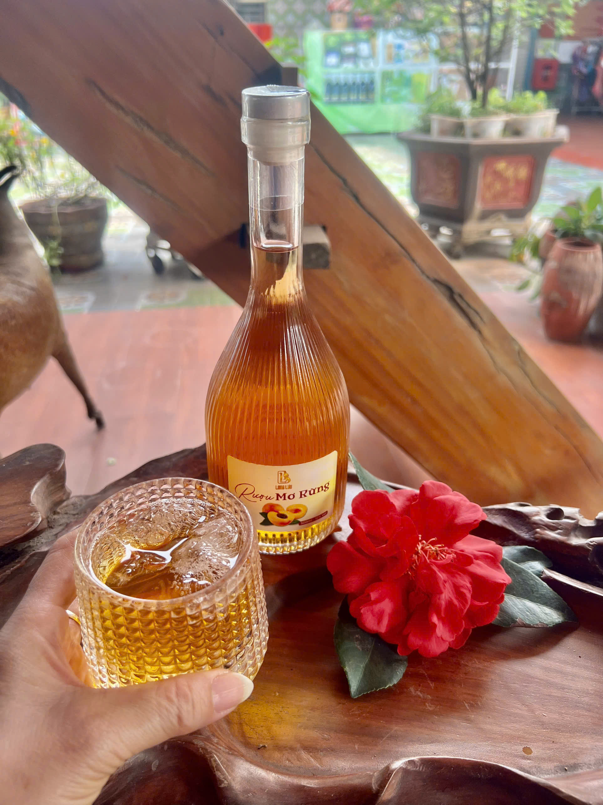 Ảnh sản phẩm