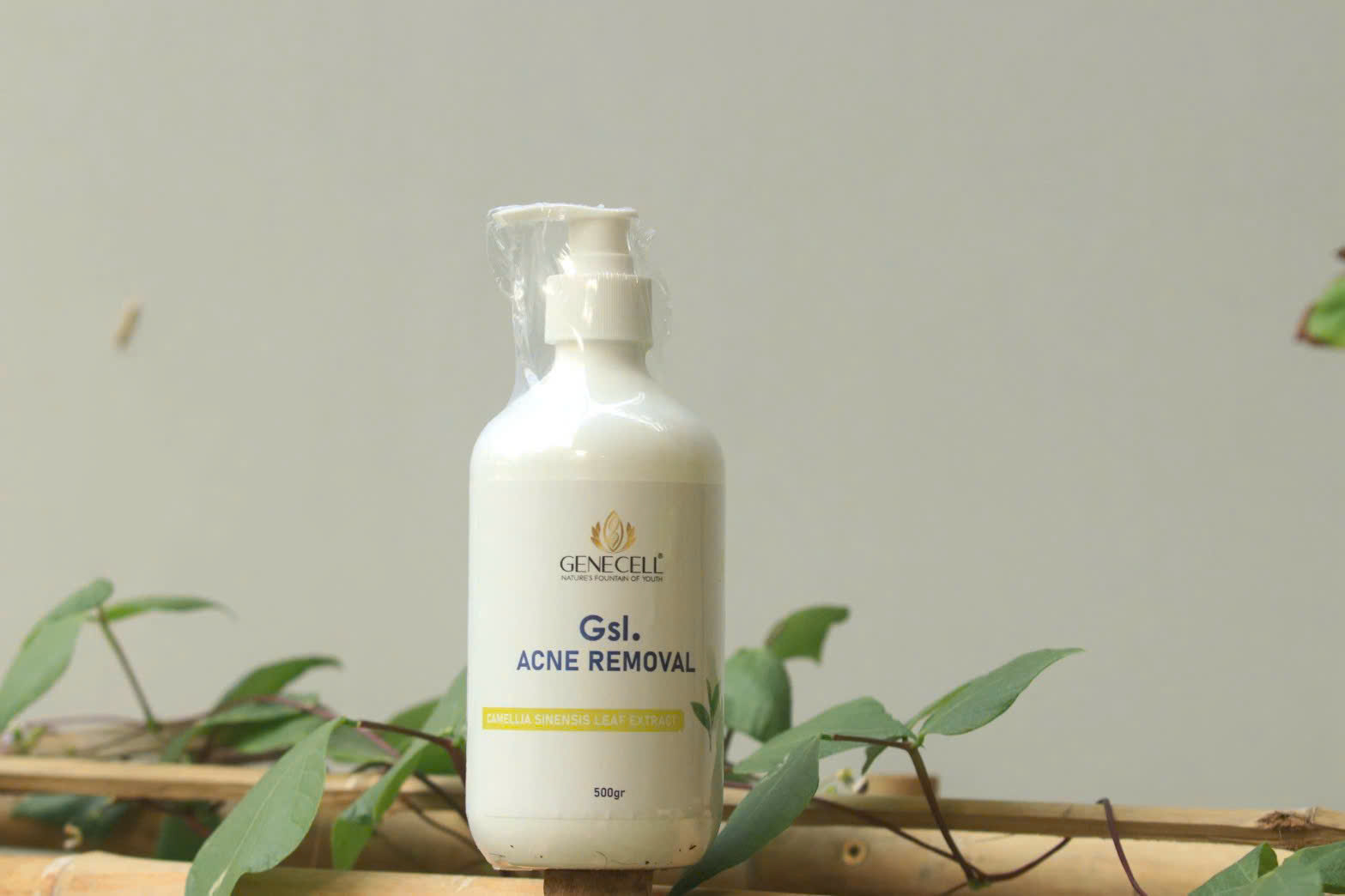 GLS.ACNE REMOVAL