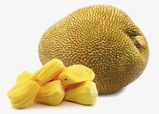 Quả mít
